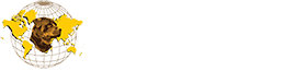 IFR Logo