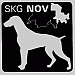 NOV Nordostschweizerische Vereinigung der SKG